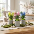 Hyacinth artificial in pot yellow pink blue H23cm 3pcs | Floristik24.ie