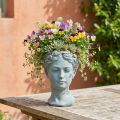 Plant head bust grey-blue Ø8cm H15cm | Floristik24.ie