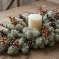 Decorative moss, grey natural moss for crafting, dried and dyed, 500g | Floristik24.ie