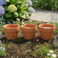 Aquasafe water reservoir with insect drinking trough for garden, balcony, terrace, 12cm, 3 pieces | Floristik24.ie
