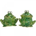 Floristik24 Pair of frogs, ceramic decoration, decorative frog, sitting frogs