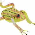 Floristik24 Decorative frogs with wire 7cm 3pcs assorted