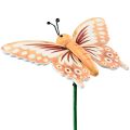 Floristik24 Flower plug wooden decorative butterflies on a stick 23cm 16pcs