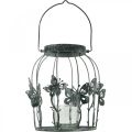 Floristik24 Spring decoration, lantern with butterflies, metal lantern, summer, candle decoration