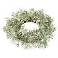 Floristik24 Spring wreath cherry blossoms gypsophila wreath artificial Ø50cm