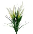 Floristik24 Foxtail grass green, white 63cm