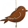 Floristik24 Decorative bird, food hanger, metal decoration stainless steel 19 × 13.5cm