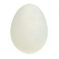 Floristik24 Goose eggs 8cm 10pcs
