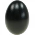 Floristik24 Goose Eggs Black Blown Eggs Easter Decoration 12pcs