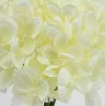 Floristik24 Hydrangea bunch artificial flowers white L27cm