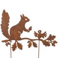 Floristik24 Garden stake squirrel on branch, weathered metal, 42cm high, 3 pieces