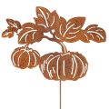Floristik24 Garden stake with pumpkin motif, metal decoration, rust finish, 100cm