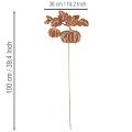 Garden stake with pumpkin motif, metal decoration, rust finish, 100cm | Floristik24.ie