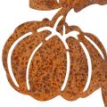 Garden stake with pumpkin motif, metal decoration, rust finish, 100cm | Floristik24.ie
