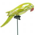 Floristik24 Garden plug parrot yellow 16cm