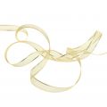Gift ribbon gold ring effect 15mm 25m | Floristik24.ie