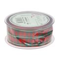 Gift ribbon Scottish checked decorative ribbon red green 40mm 15m | Floristik24.ie