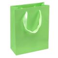 Floristik24 Gift bag light green 23cm x 18cm x 8cm