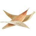 Floristik24 Coconut shells coconut leaves bleached 22-42cm 25pcs