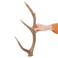 Decorative artificial antlers, rustic cabin decoration, 50cm | Floristik24.ie