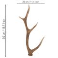 Decorative artificial antlers, rustic cabin decoration, 50cm | Floristik24.ie