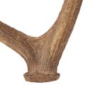 Decorative artificial antlers,