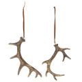 Rustic antler decoration