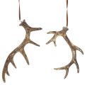 Rustic antler decoration