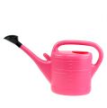 Floristik24 Watering can Pink 10L