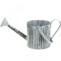 Floristik24 Metal can for planting, watering can for decoration, planting can Ø17cm