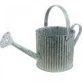 Floristik24 Watering can for planting, decorative metal can, planter Ø19.5cm