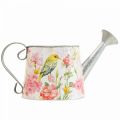 Floristik24 Decorative watering can metal for planting, planting can H16cm