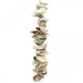 Floristik24 Shell garland, maritime summer decoration, natural shell chain natural colors L35cm