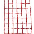 Floristik24 Grid tape 4.5cm x 10m red