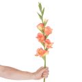 Artificial gladiolus with many blossoms for a bouquet, 88cm | Floristik24.ie