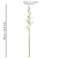 Artificial gladiolus, long stem, for vases, 88cm | Floristik24.ie
