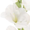 Artificial gladiolus, long stem, for vases, 88cm | Floristik24.ie