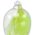 Floristik24 Glass egg with feathers to hang 6.5cm light green 6pcs
