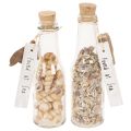 Floristik24 Glass bottle decoration with shells and pendant, maritime table decoration, 17cm, 2 pieces