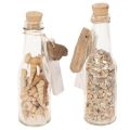 Glass bottle decoration with shells and pendant, maritime table decoration, 17cm, 2 pieces | Floristik24.ie