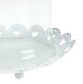 Floristik24 Glass hood with plate Ø15.5cm H17cm white