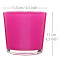 Floristik24 Glass tub, planter pink Ø11.5cm H11cm