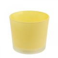 Floristik24 Glass flower pot yellow plant pot glass tub Ø14.5cm H12.5cm