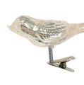 Floristik24 Glass bird on clip cream 7.5cm 3pcs