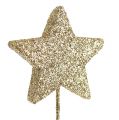 Floristik24 Glitter star on wire 4cm gold 60pcs