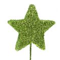 Floristik24 Glitter stars on wire green 5cm 48pcs