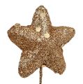 Floristik24 Glitter star on wire gold 3.5cm 12pcs