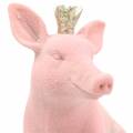 Floristik24 Decorative figure set lucky pig with golden crown 12 × 7 × 13cm / 9.2 × 5.5 × 10cm 2pcs