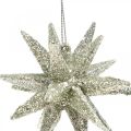Floristik24 Glitter stars to hang champagne Christmas tree decorations 7.5 cm 8 pieces