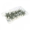 Floristik24 Glitter stars to hang champagne Christmas tree decorations 7.5 cm 8 pieces